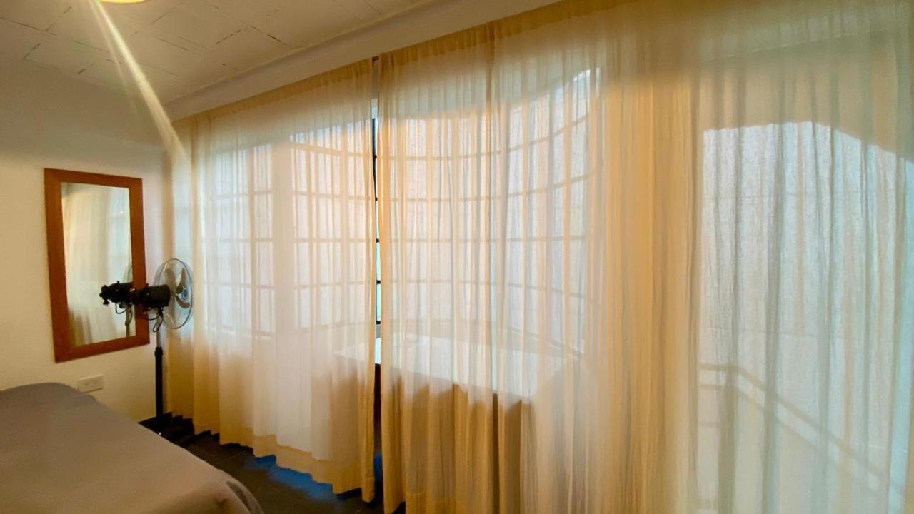La Casa Del Loro, San Telmo - 8 Habitaciones Buenos Aires Ngoại thất bức ảnh